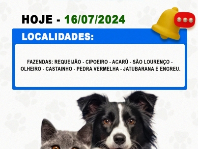 CÃO 2